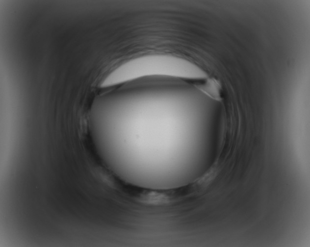 X0000083060180200703022142