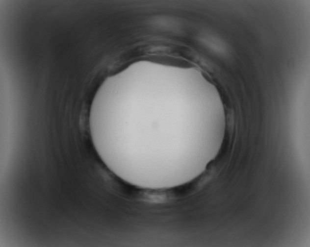 X0000083060181200703022142