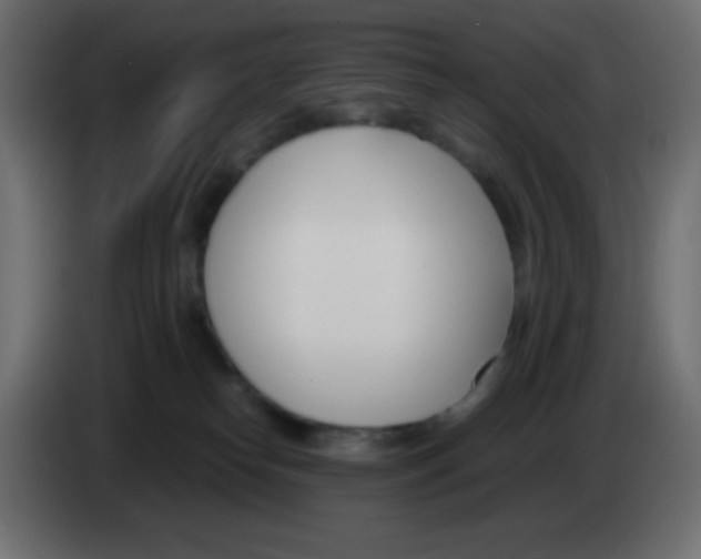 X0000083060182200703022142