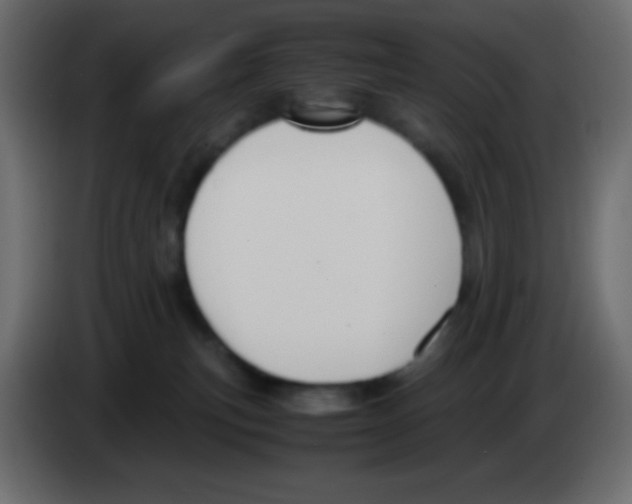 X0000083060183200703022142