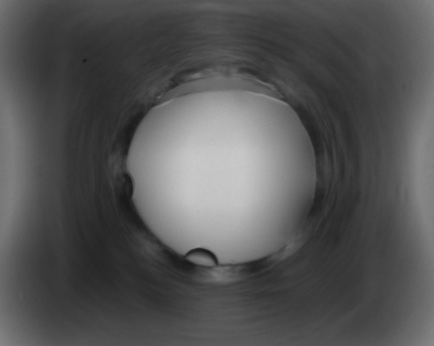 X0000083060184200703022142