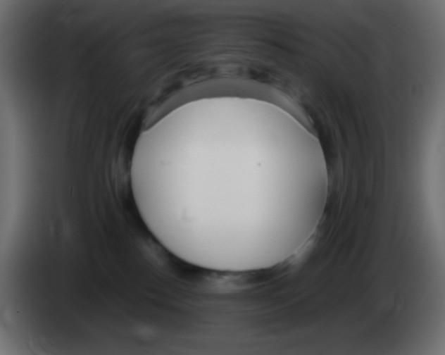 X0000083060186200703022142