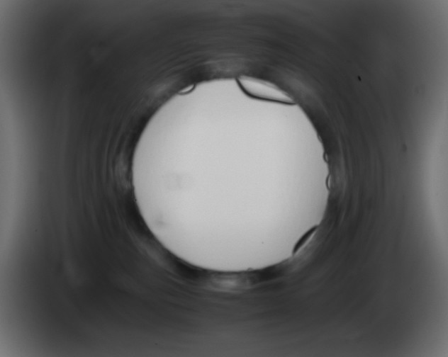 X0000083060187200703022142