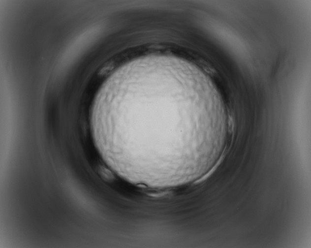 X0000083060191200703022142