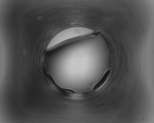 X0000083060192200703022142