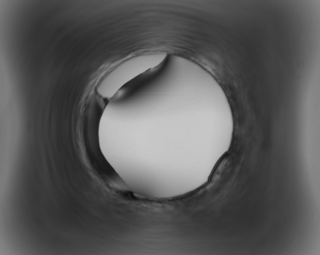 X0000083060193200703022141