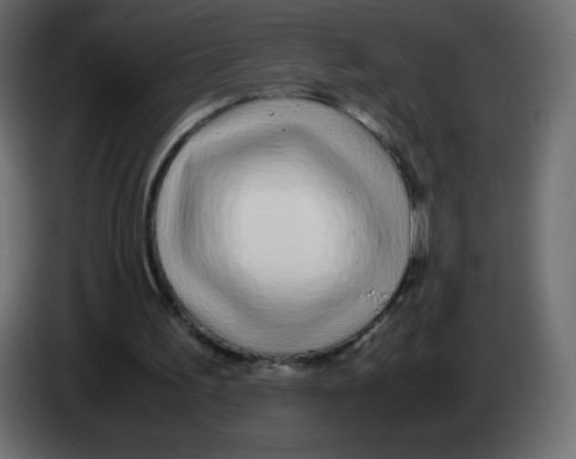 X0000083060195200703022141