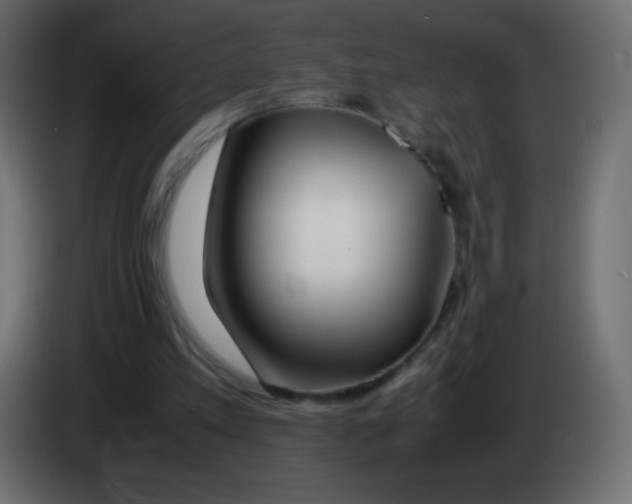 X0000083060197200703022141