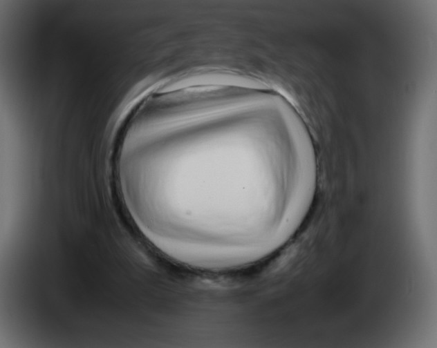 X0000083060199200703022141