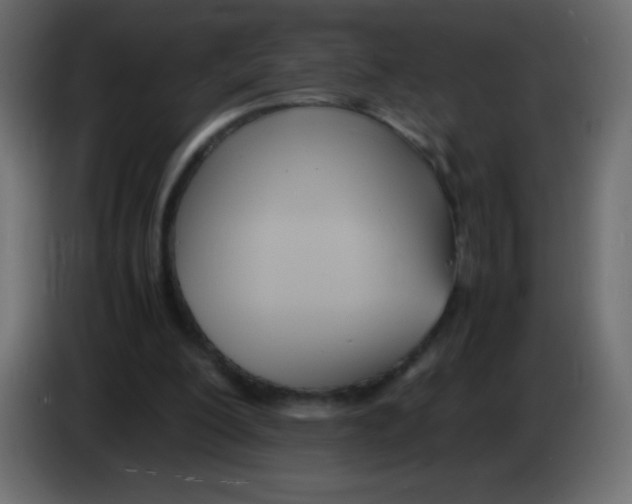 X0000083060200200703022141