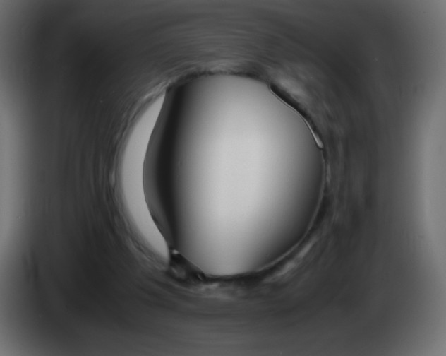 X0000083060201200703022141