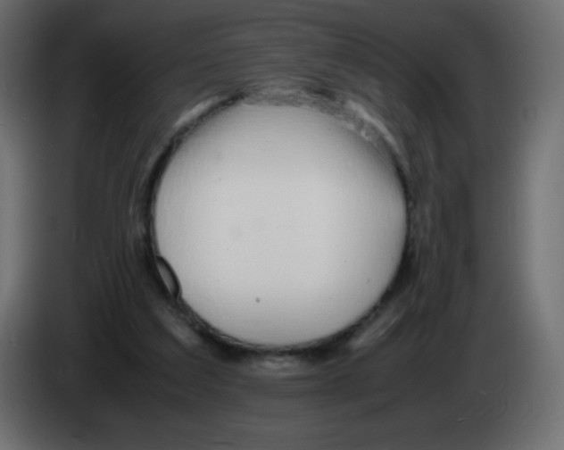 X0000083060203200703022141