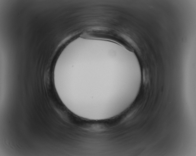 X0000083060204200703022141