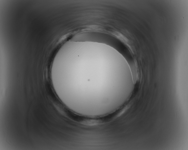 X0000083060205200703022141