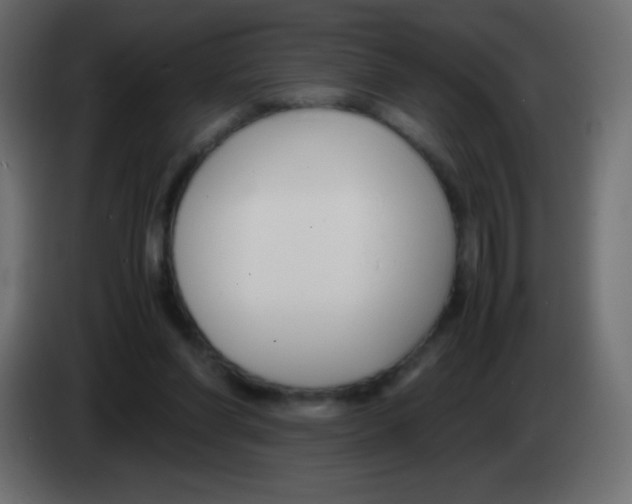 X0000083060206200703022141