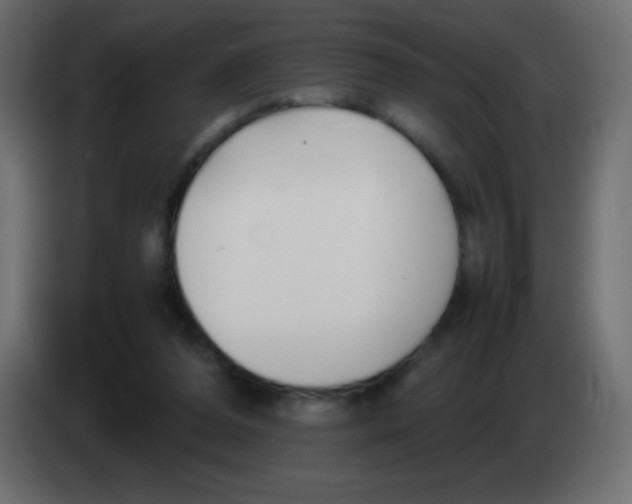 X0000083060208200703022141