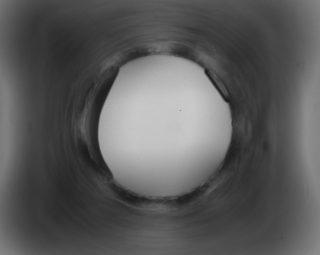 X0000083060209200703022141