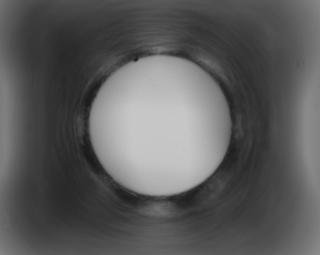 X0000083060210200703022141