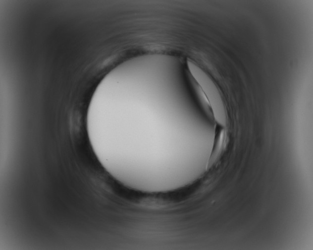 X0000083060211200703022141