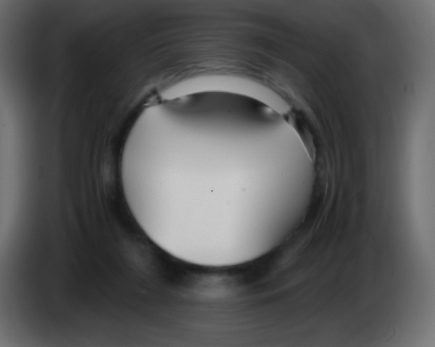 X0000083060212200703022141