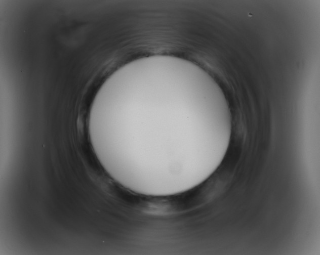 X0000083060214200703022141