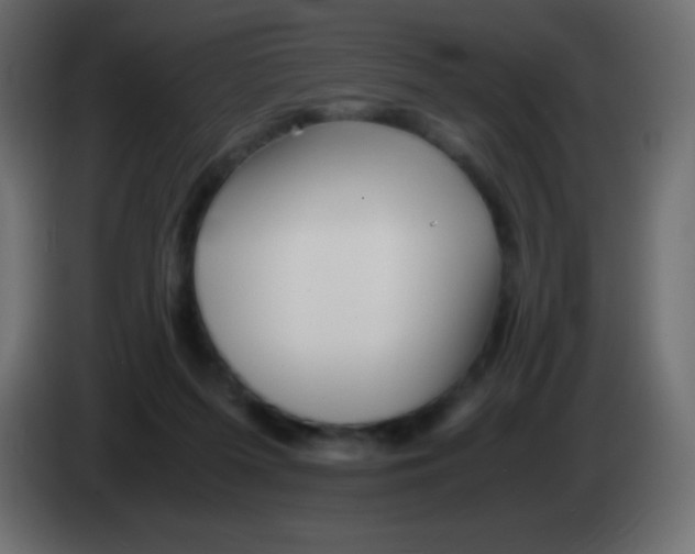 X0000083060215200703022141