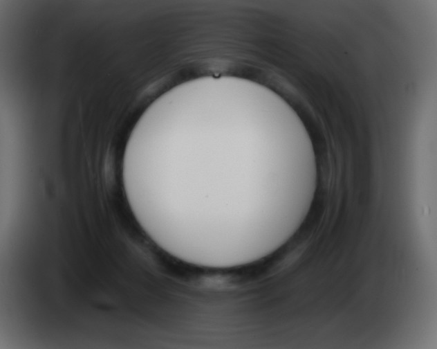 X0000083060216200703022141