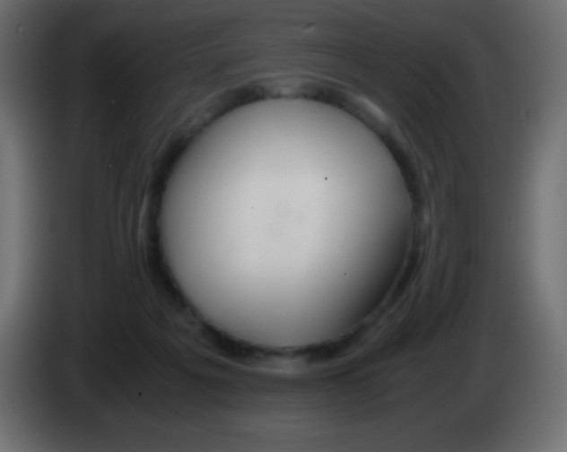 X0000083060217200703022141