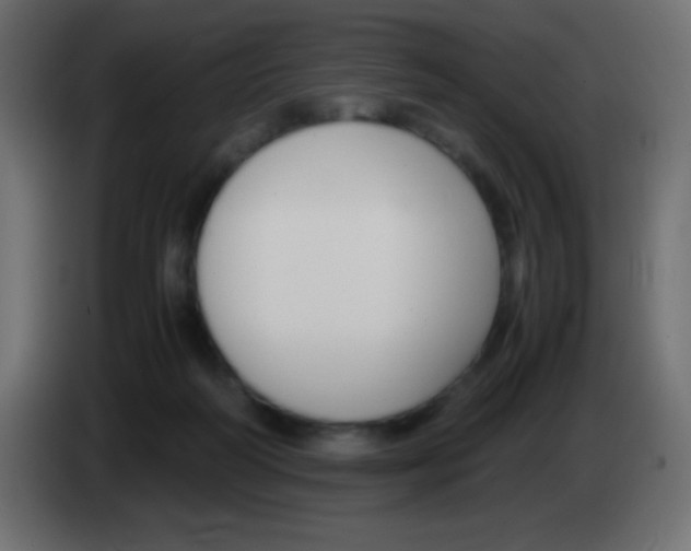 X0000083060218200703022141