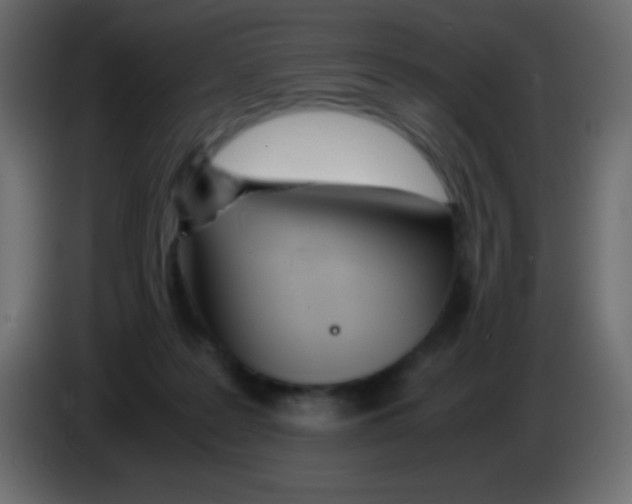 X0000083060219200703022141