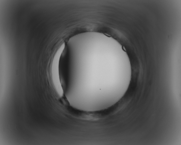 X0000083060221200703022141