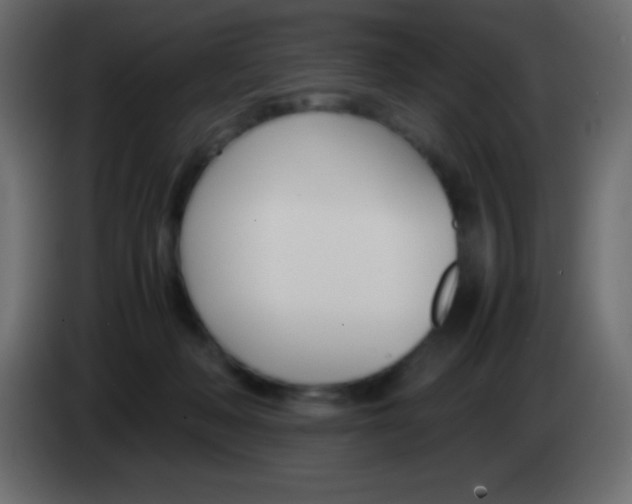 X0000083060222200703022141