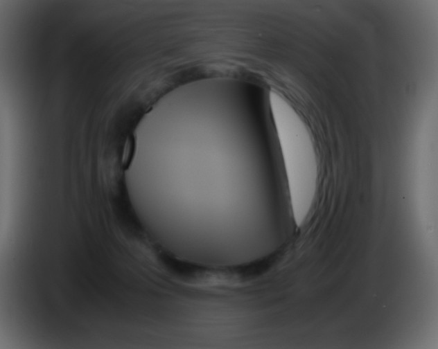 X0000083060223200703022141