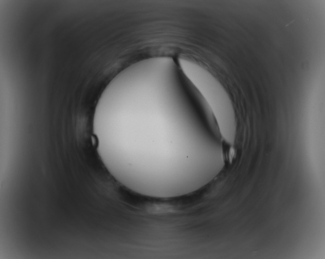 X0000083060224200703022141