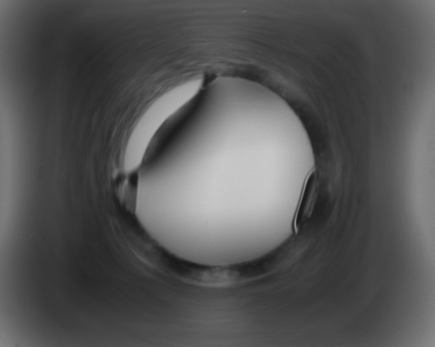 X0000083060225200703022141