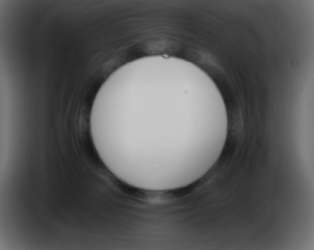 X0000083060226200703022141