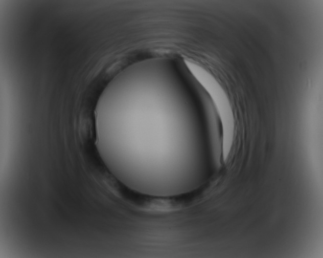 X0000083060227200703022141