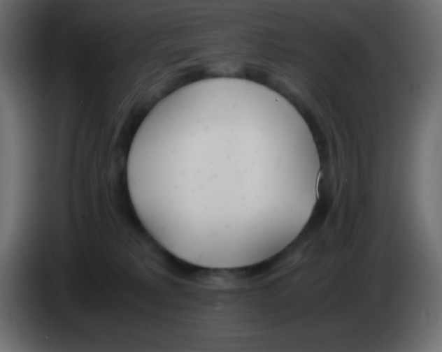 X0000083060229200703022141