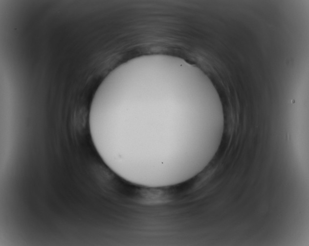 X0000083060230200703022141