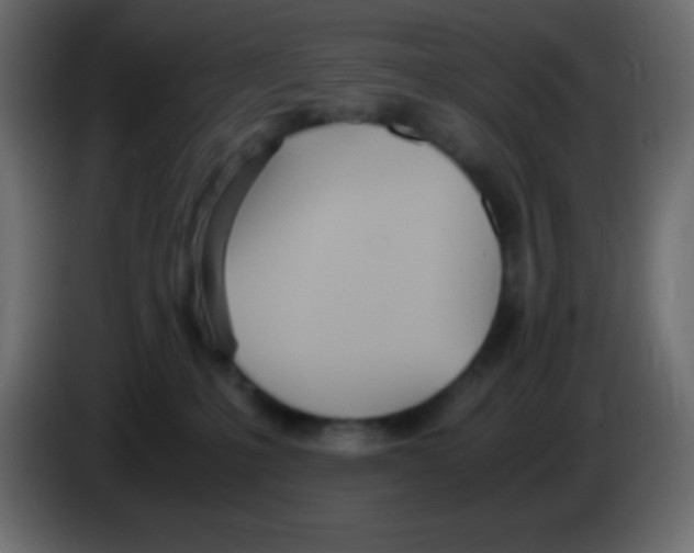 X0000083060231200703022141