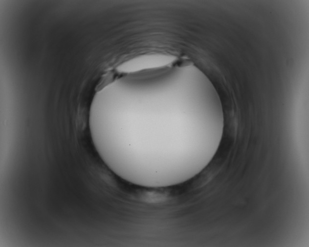 X0000083060232200703022141