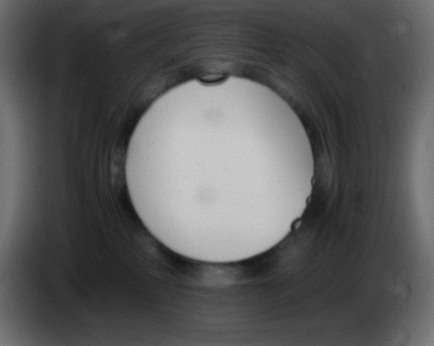 X0000083060234200703022141