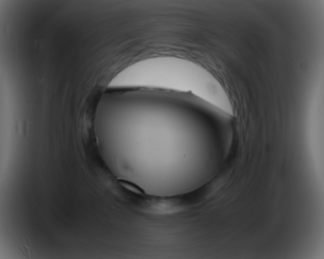 X0000083060235200703022141