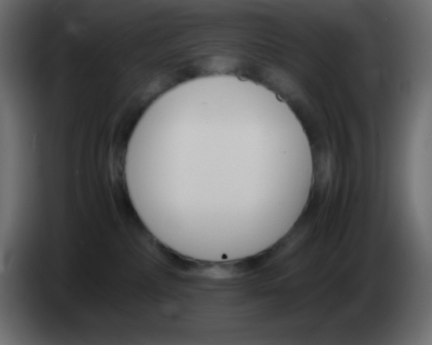 X0000083060236200703022141