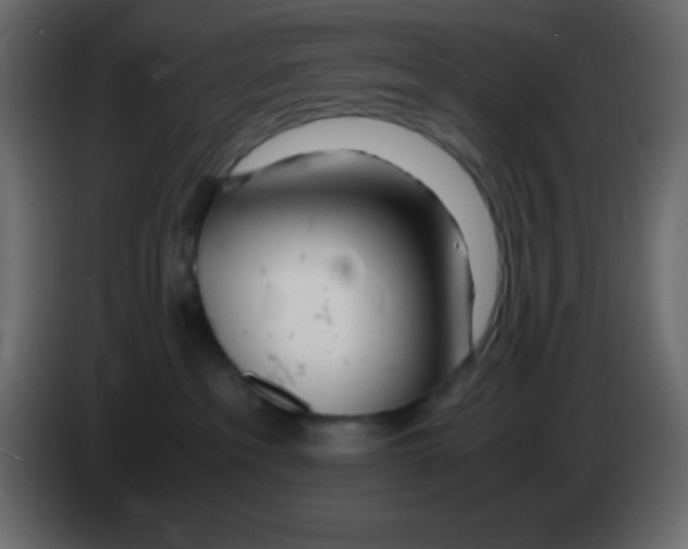 X0000083060237200703022141