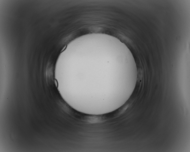 X0000083060238200703022141