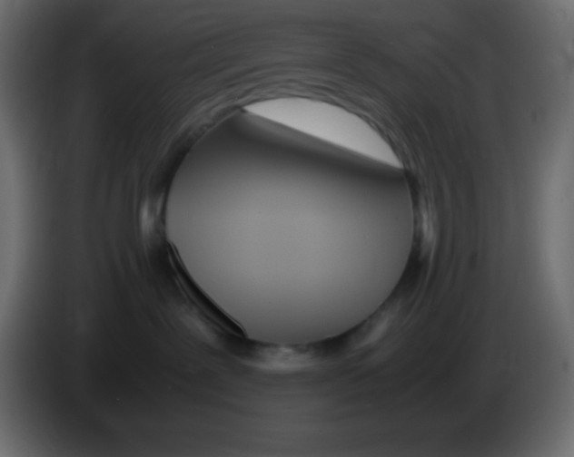 X0000083060239200703022141