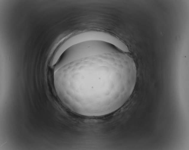 X0000083060242200703022140