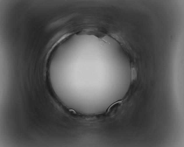 X0000083060243200703022140