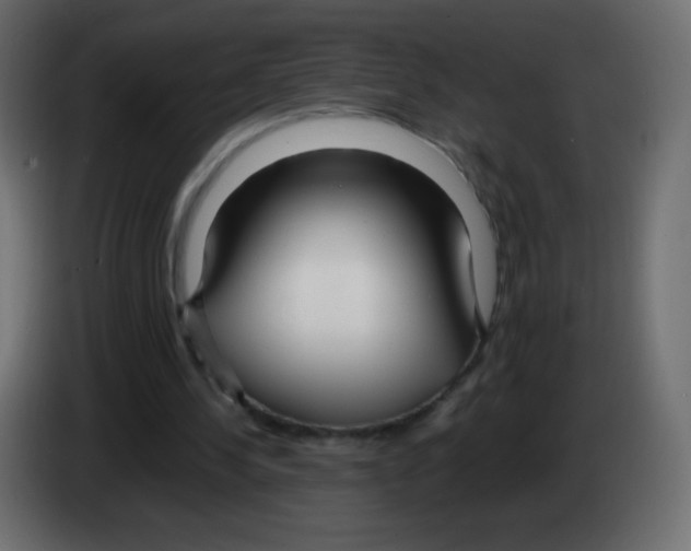 X0000083060244200703022140